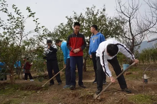 图为 活动现场
