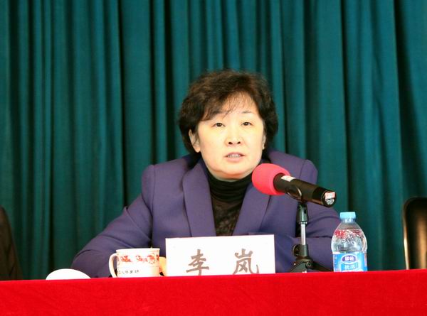 图为李岚副区长作重要讲话