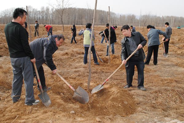 图为市残联领导义务植树