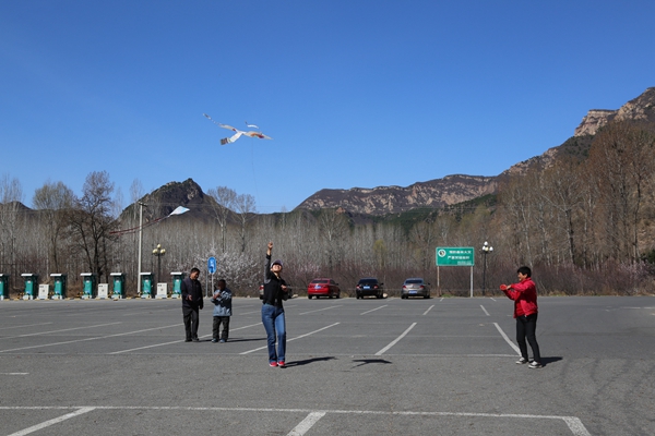 图为残疾人大赛现场