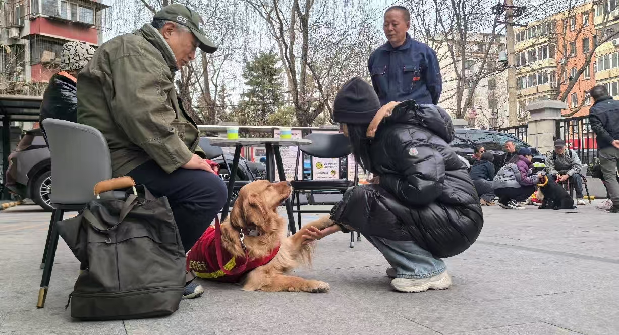 市无障碍中心举办导盲犬开放日主题宣传活动 市无障碍中心举办导盲犬开放日主题宣传活动