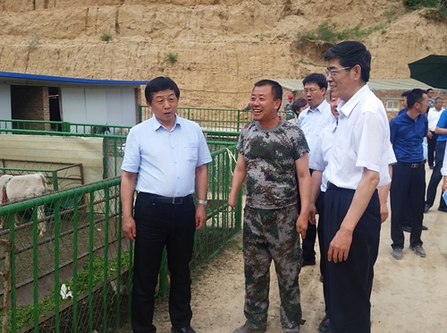 图为鲁勇一行调研残疾人扶贫基地