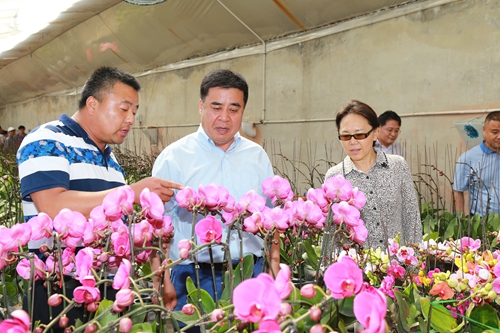图为调研组考察扶贫助残基地