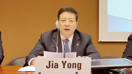 图为中国残联副理事长贾勇在会上发言