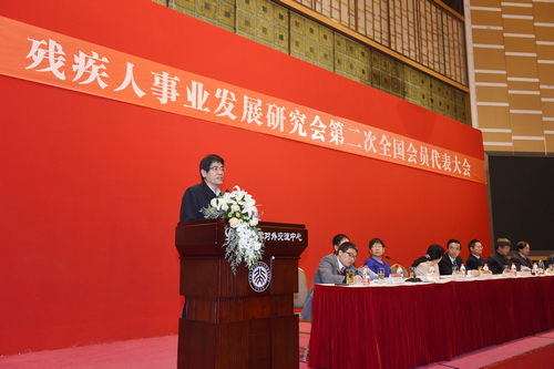 图为中国残联党组书记、理事长鲁勇在会上讲话