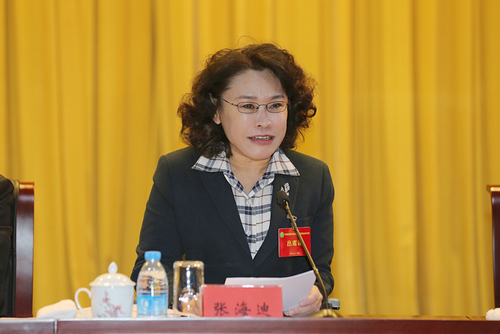 图为中国残联主席张海迪出席会议并讲话