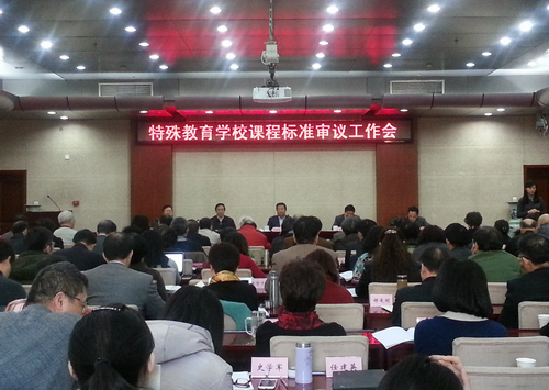 图为特殊教育学校课程标准审议工作会现场
