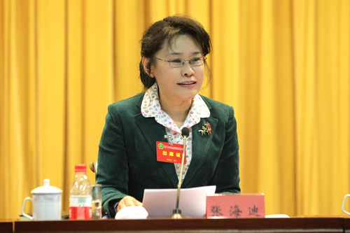 图为中国残联主席张海迪出席会议并讲话