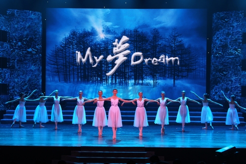 图为晚会演出现场