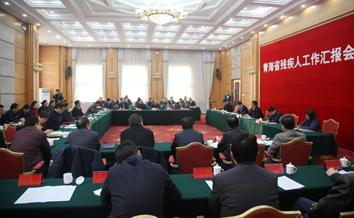 图为鲁勇同志与匡湧同志共同座谈青海省残疾人工作