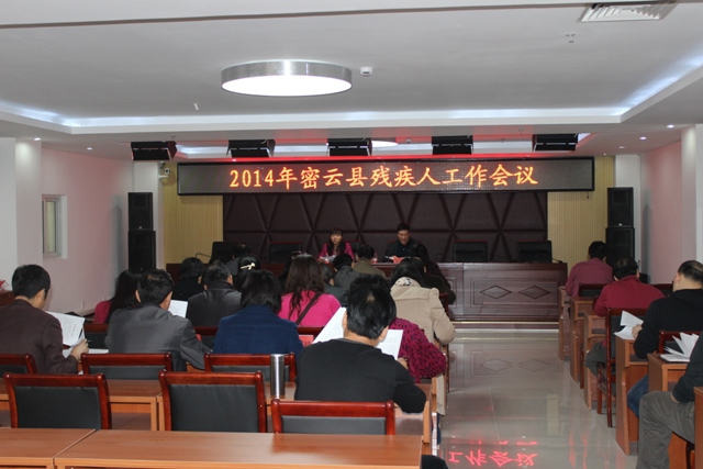 图为  残疾人工作会议现场