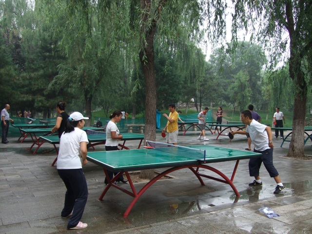 图为活动现场
