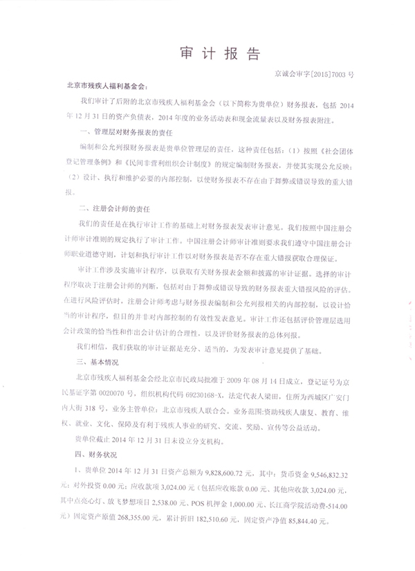 2014年审计报告